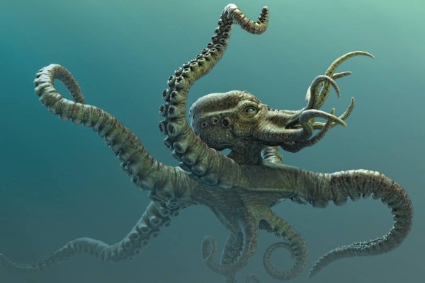 Kraken 24at