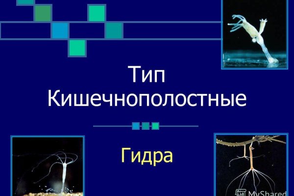 2krn cc кракен