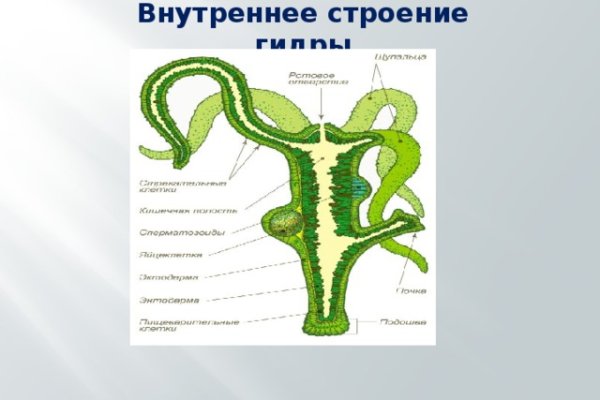 Скрытый интернет как войти